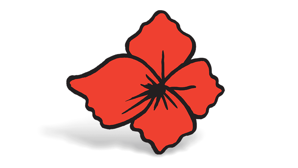 GIVING BACK TO COMMUNITY